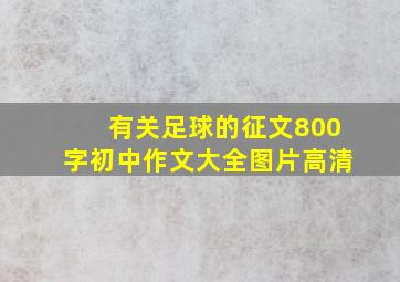 有关足球的征文800字初中作文大全图片高清