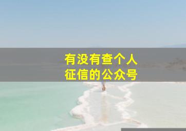 有没有查个人征信的公众号