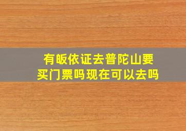 有皈依证去普陀山要买门票吗现在可以去吗