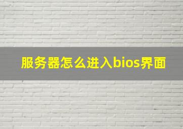 服务器怎么进入bios界面