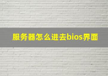 服务器怎么进去bios界面