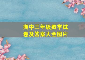 期中三年级数学试卷及答案大全图片