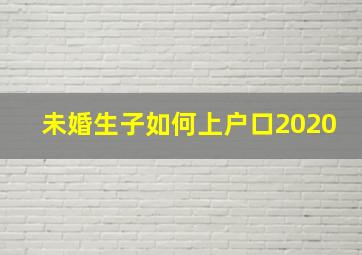 未婚生子如何上户口2020