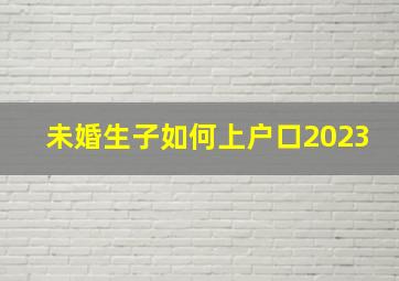 未婚生子如何上户口2023