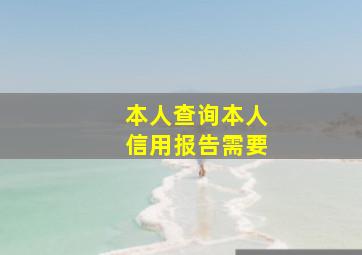 本人查询本人信用报告需要