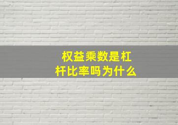 权益乘数是杠杆比率吗为什么