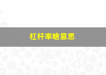 杠杆率啥意思