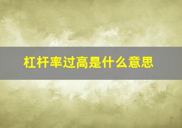 杠杆率过高是什么意思