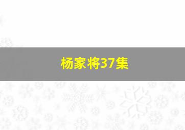 杨家将37集