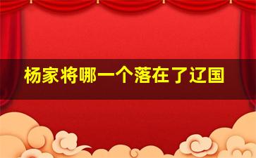 杨家将哪一个落在了辽国