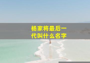 杨家将最后一代叫什么名字