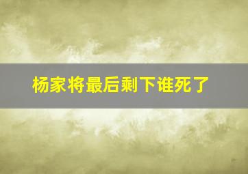 杨家将最后剩下谁死了