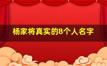 杨家将真实的8个人名字