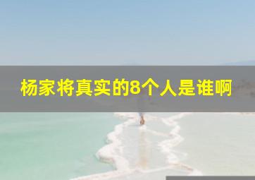 杨家将真实的8个人是谁啊