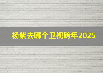 杨紫去哪个卫视跨年2025