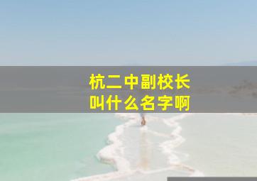 杭二中副校长叫什么名字啊