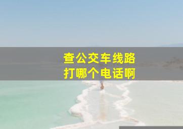 查公交车线路打哪个电话啊