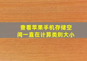 查看苹果手机存储空间一直在计算类别大小