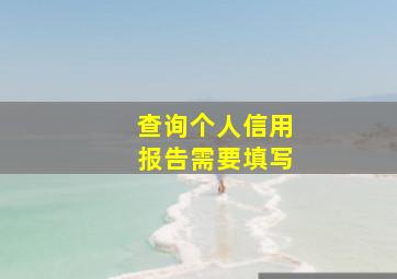 查询个人信用报告需要填写