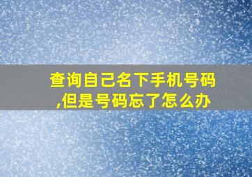 查询自己名下手机号码,但是号码忘了怎么办