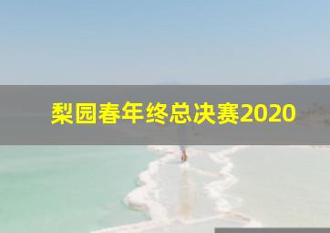 梨园春年终总决赛2020