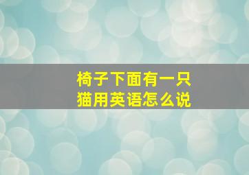 椅子下面有一只猫用英语怎么说