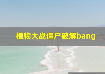 植物大战僵尸破解bang