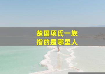 楚国项氏一族指的是哪里人