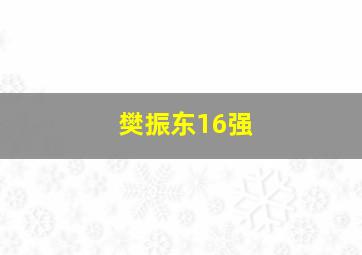 樊振东16强