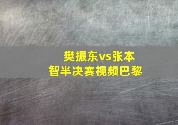 樊振东vs张本智半决赛视频巴黎