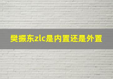 樊振东zlc是内置还是外置