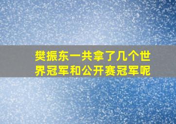 樊振东一共拿了几个世界冠军和公开赛冠军呢