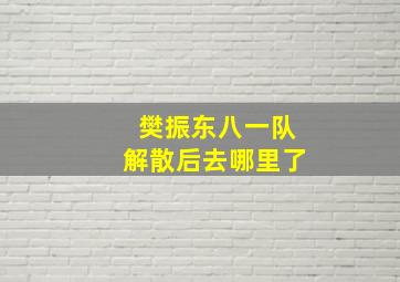 樊振东八一队解散后去哪里了