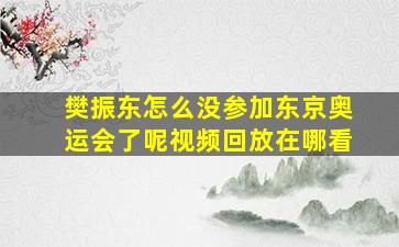 樊振东怎么没参加东京奥运会了呢视频回放在哪看