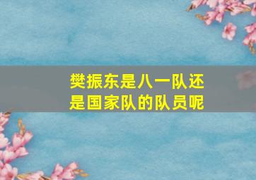 樊振东是八一队还是国家队的队员呢