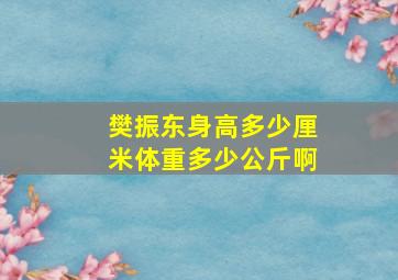 樊振东身高多少厘米体重多少公斤啊