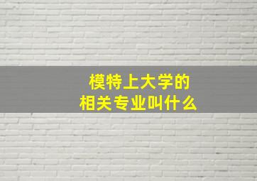 模特上大学的相关专业叫什么