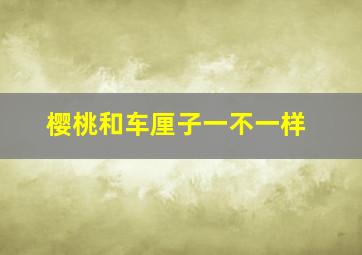 樱桃和车厘子一不一样