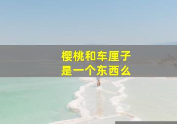 樱桃和车厘子是一个东西么