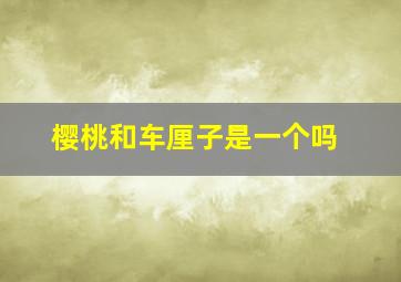 樱桃和车厘子是一个吗