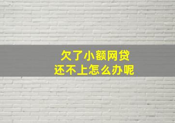 欠了小额网贷还不上怎么办呢