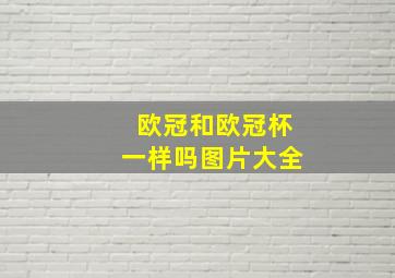 欧冠和欧冠杯一样吗图片大全