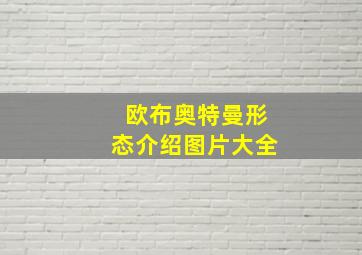 欧布奥特曼形态介绍图片大全