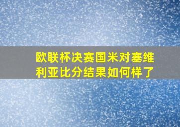 欧联杯决赛国米对塞维利亚比分结果如何样了