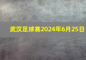 武汉足球赛2024年6月25日