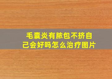 毛囊炎有脓包不挤自己会好吗怎么治疗图片