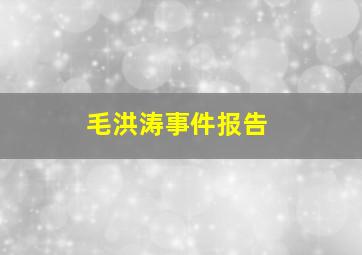 毛洪涛事件报告