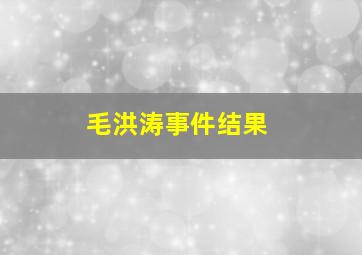 毛洪涛事件结果