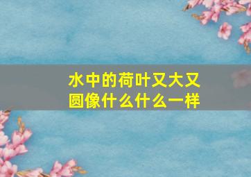 水中的荷叶又大又圆像什么什么一样