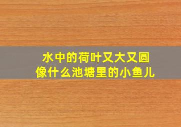 水中的荷叶又大又圆像什么池塘里的小鱼儿